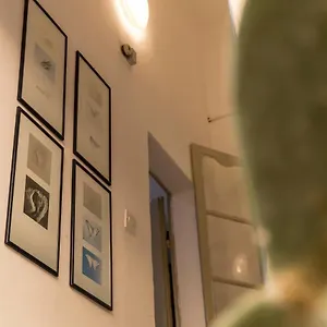 Collection - Old Theatre Apartment
